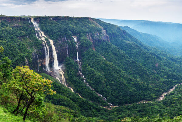 6N7D-Assam Meghalaya